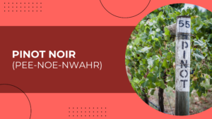 Pinot Noir